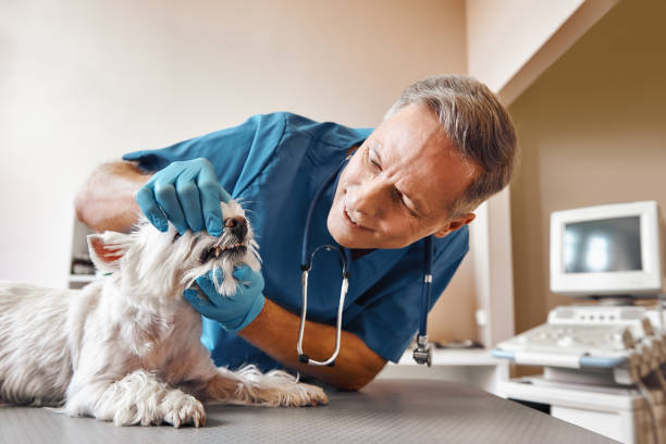 Best Emergency Treatment for Oral Infections in Hellertown, PA